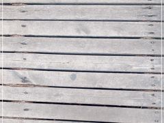 -帽儿山国家森林公园