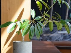 -Cafe Mersey默西咖啡(平江店)