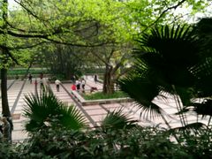 -晓港公园
