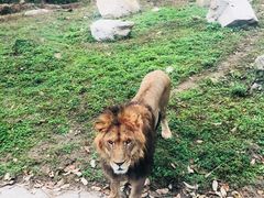 -西安秦岭野生动物园