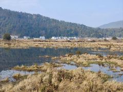 -腾冲北海湿地