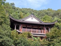-十八棵（老龙井）御茶园(老龙井店)