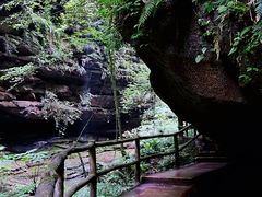 -碧峰峡风景区