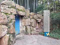 -上海市保健医疗中心