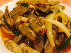 姜葱炒圣子-深运潮州粥(东门店)
