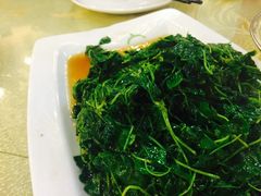 -兴圆苑