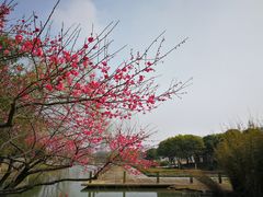 -白塘生态植物园