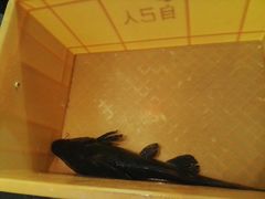 -自己人(九码头店)