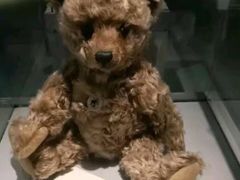 -成都泰迪熊博物馆