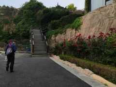 -棒棰岛宾馆景区