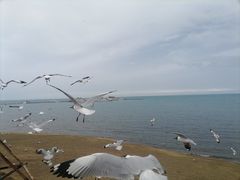 -青海湖二郎剑景区