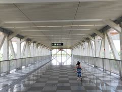 -园博园(地铁站)