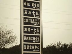 -水杉园