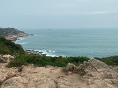 -广东惠东海龟国家级自然保护区