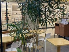 -野人先生Gelato(上海长宁龙之梦店)