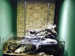 -Together·泰式按摩精油SPA(天山店)