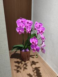 -如一·美甲美睫