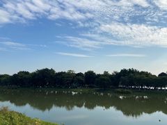 -海珠湖公园