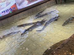 -胖姐渔村(中源大道店)