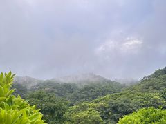 -厦门国家会计学院