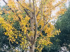 -敬亭山风景名胜区