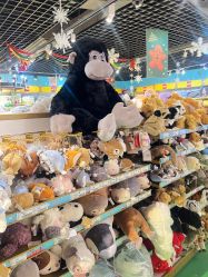 -Hamleys哈姆雷斯(东方福来德店)