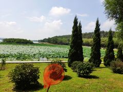 -丁香湖公园