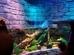 -沈阳海洋探索中心