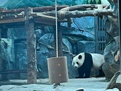 -武汉动物园