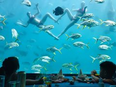 -瑞德姆美人鱼海底演艺主题餐厅(亚龙湾店)