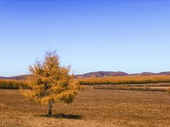 -塞罕坝国家级自然保护区