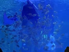 -常州海昌海洋探索馆