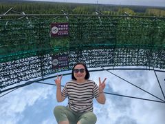 -黄海国家森林公园