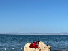 -青海湖国家重点风景名胜区
