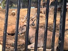 -泉州海丝野生动物世界