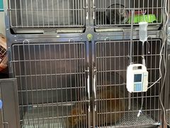 -恒康宠物医院(司背后街店)