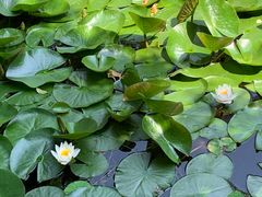 -东山雕花楼