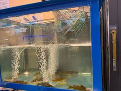 -重庆老船夫冷锅鱼(黄金路店)