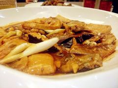 老板鱼豆腐-渔公码头·九龙湾国际饭店