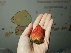 -AEON永旺(东方宝泰店)