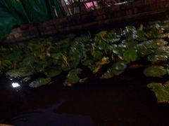 android_upload_pic-荷香居(洞企石路店)