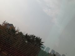 -棕榈MALL
