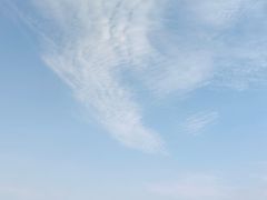 -东海岛旅游度假区
