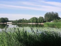 -大兴滨河森林公园