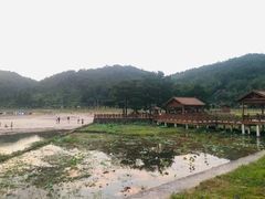 -仙水洋