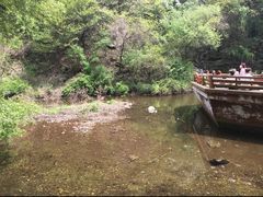 -少华山国家森林公园