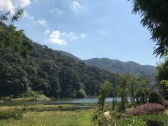 -广州市石门国家森林公园