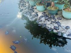 -八景休閒山莊  廣東十大名山莊