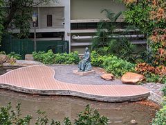 -香港大学