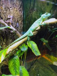 -酷嗒动物文化乐园(cutezoo西溪乐天城店)